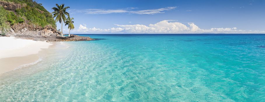 Desert island panorama with palm trees on the beach