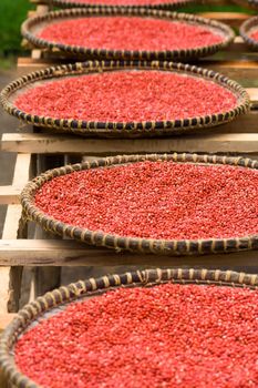 Florida holly, pink pepper from Madagascar in baskets crafts