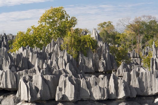 Tsingy de Bemaraha, National Park in Madagascar, Unesco World Heritage