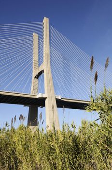 Vasco da Gama bridge is the largest in Europe over the Tagus river