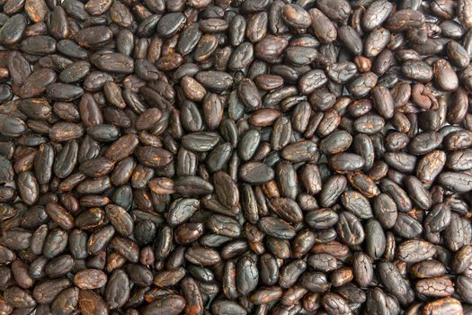 Raw cocoa beans background