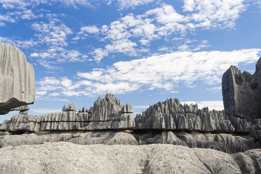 Tsingy de Bemaraha, National Park in Madagascar, Unesco World Heritage