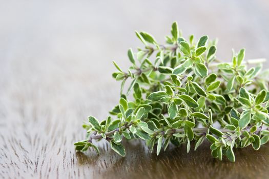 fresh thyme