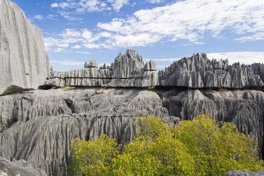 Tsingy de Bemaraha, National Park in Madagascar, Unesco World Heritage