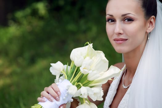 The beautiful bride on a green background