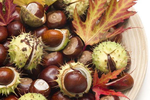 chestnuts and autumnal leaves 
