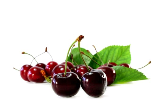 fresh red cherries on a white background