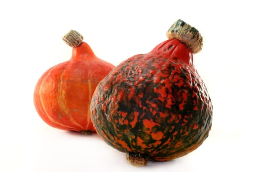 two pumpkins on a white background