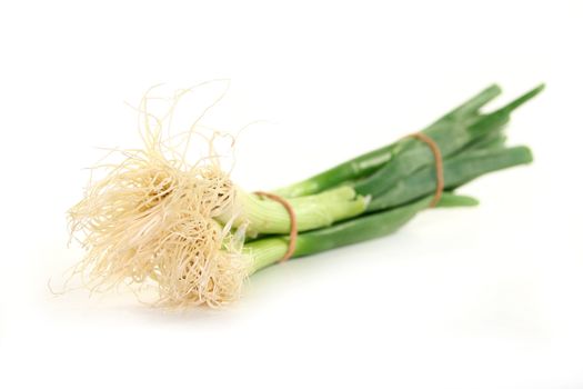 a bunch of spring onions on a light background