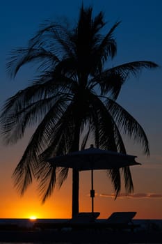 Sunset over a tropical resort with palm tree, deckchairs and umbrella