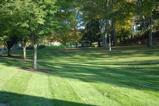 A well kept green lawn and tress