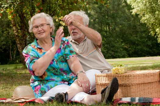 Elderly couple enjoying the spring in the park