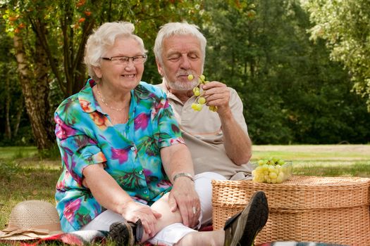 Elderly couple enjoying the spring in the park