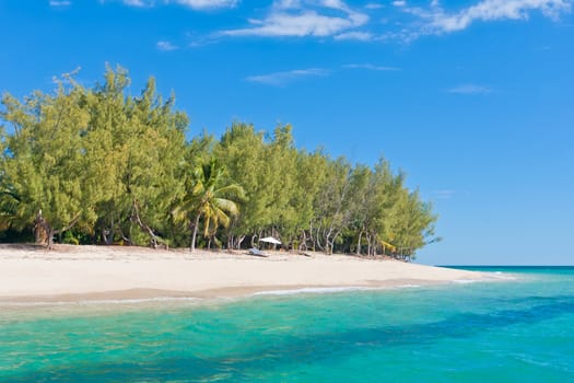 Paradise island. Fine white sand, casuarina, palm tree and turquoise water