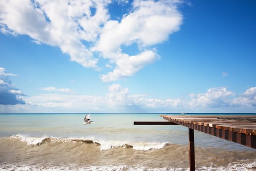 Flying gull on a seashore with beautiful clouds background