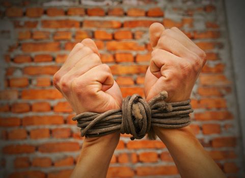 Hands tied up with rope against brick wall