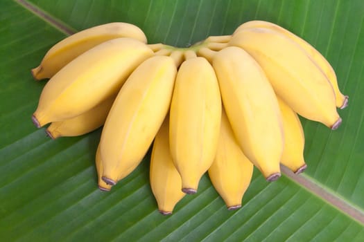 Bunch of bananas on banana leaf background