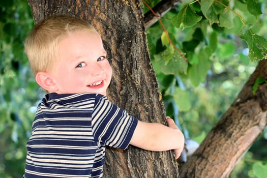 Little boy climbing trees