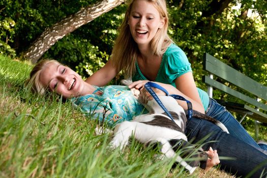 Two blond girls and a american bulldog in the park