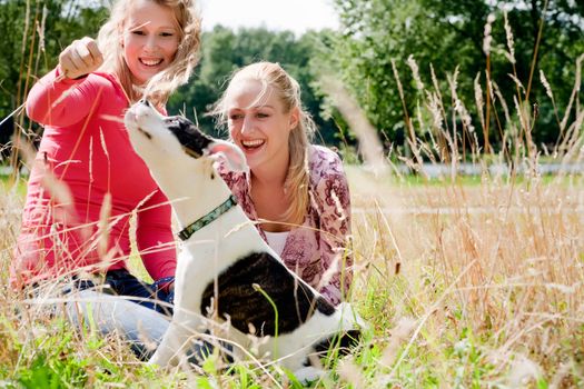 Two blond girls and a american bulldog in the park