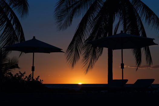 Sunset over a tropical resort with palm tree, deckchairs and umbrellas