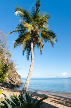 Tropical beach landscape from Nosy Be, Madagascar
