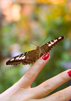 Butterfly on the little finger with a manicure