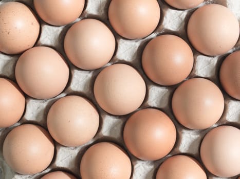 close up of fresh chicken eggs