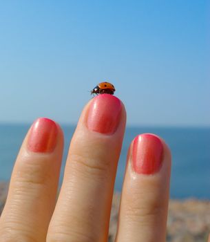 Ladybird on her finger with a manicure