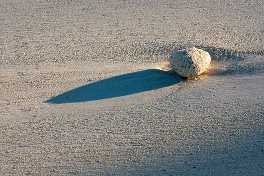 White pebble on the sandy beach