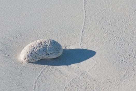 White pebble on the sandy beach