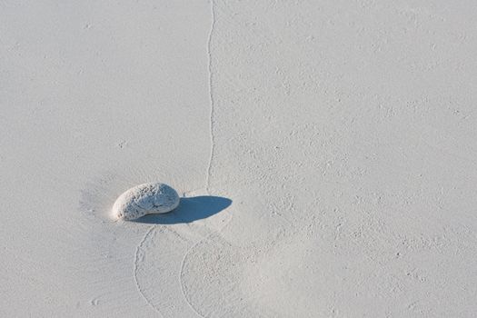 White pebble on the sandy beach