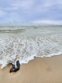 Seascape of a sandy beach in Malaysia with tree branch on the foreground