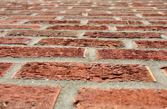 The old red brick wall as background.
