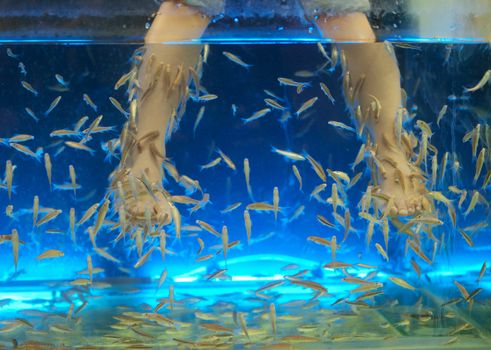 Young girl dipping her legs inside an aquarium filled with by Garra rufa aka Doctor Fish inThailand