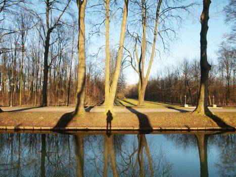 Photographer taking his shadow in a forest in winter