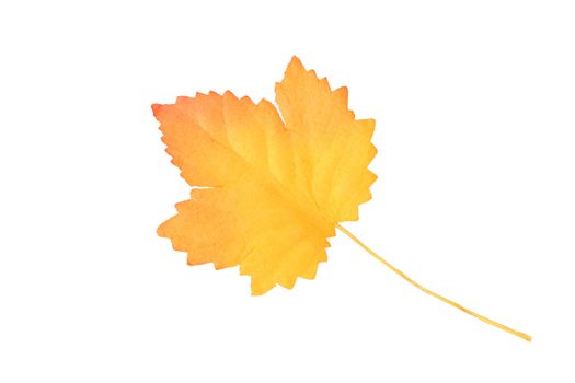 Artificial yellow-orange autumn leaf on white background