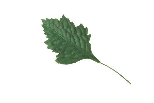 Artificial green leaf on a white background