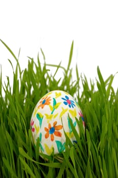 Painted easter egg in green grass on a white background.