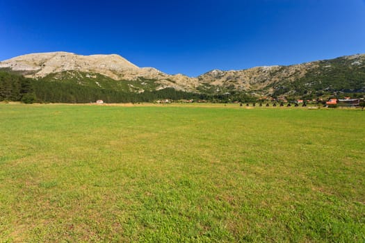 Green grass field and mountains of Montenegro