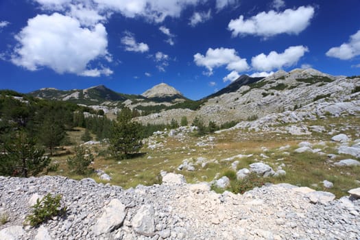 Mountains of montenegro showing wild beauty