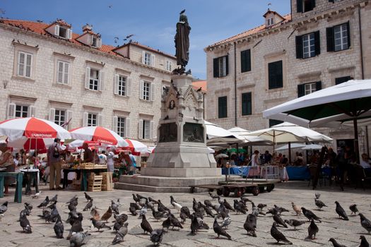 Dubrovnik old town daily market