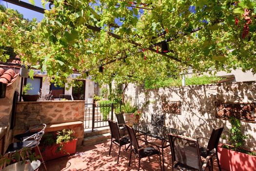 Garden terrace covered in creeping grape vines