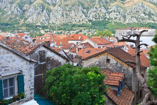 terracotta rooftops of Kotor old town Montenegro