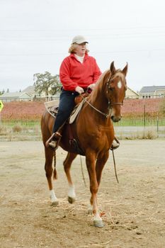 Horseback woman riding a saddlebred horse