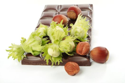 Piece of chocolate and wood nuts on a white background