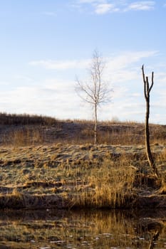 Non-urban landscape with two different leafless trees
