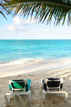 Two beach chairs under a palm tree on the ocean shore in tropical resort