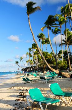 Sandy beach of tropical resort with palm trees and reclining chairs