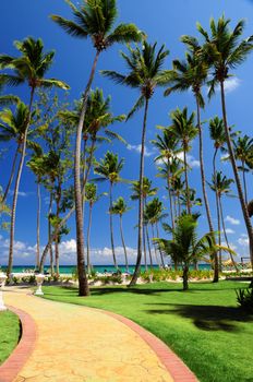 Path leading to a beach on tropical resort